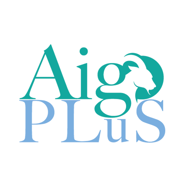 AIGO PLUS_final