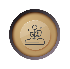 MicrosoftTeams-image (32)